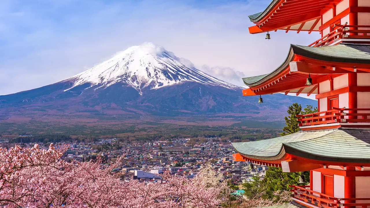 Study in Japan