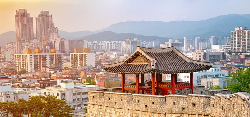 The Ultimate Nepalese Student Guide Travelling to South Korea: Pre-Departure, Transit, and Arrival